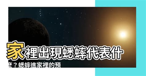 蟋蟀出現在家|【蟋蟀進屋風水】樓房高層出現蟋蟀、蟋蟀進屋的風水預兆解密